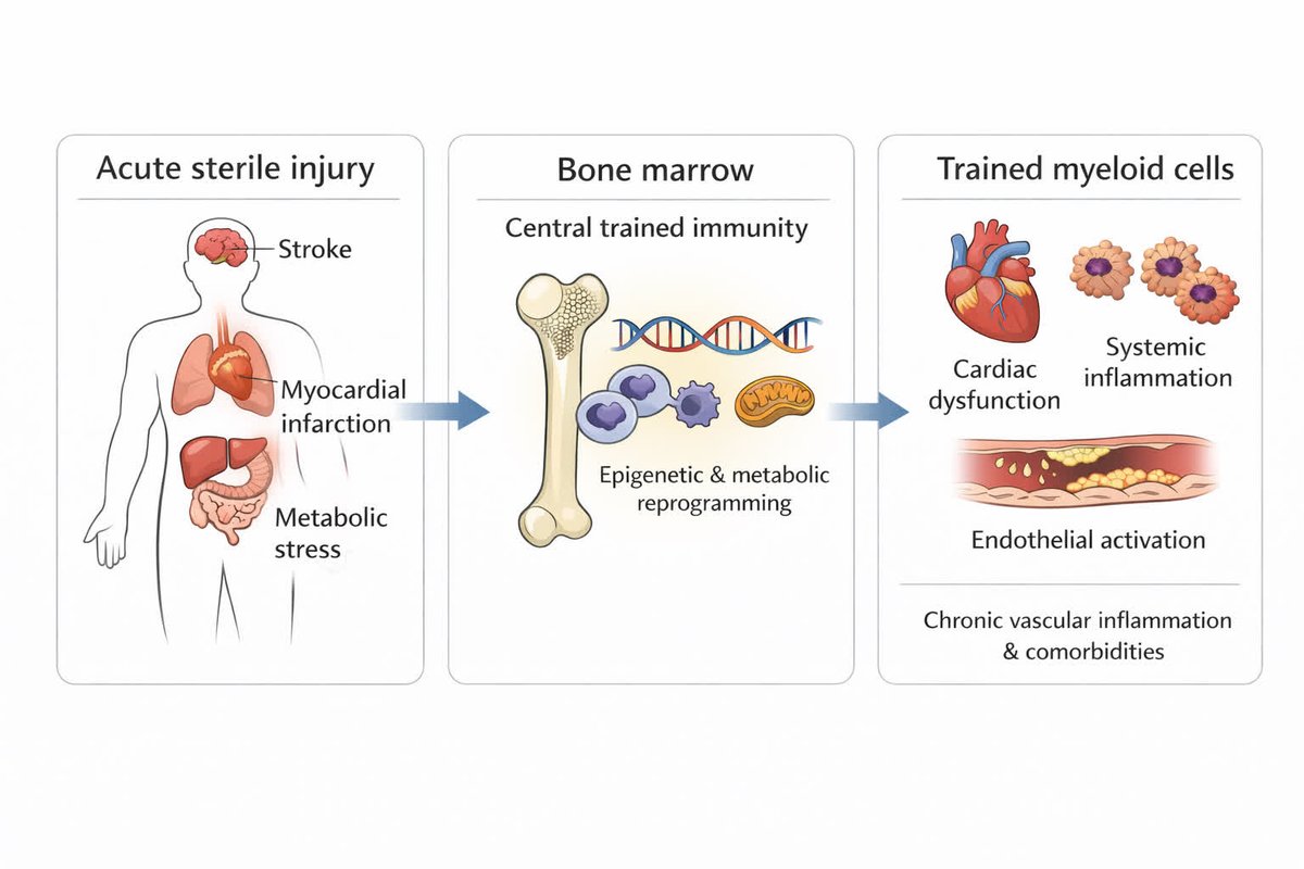 ATVB: An AHA Journal tweet media