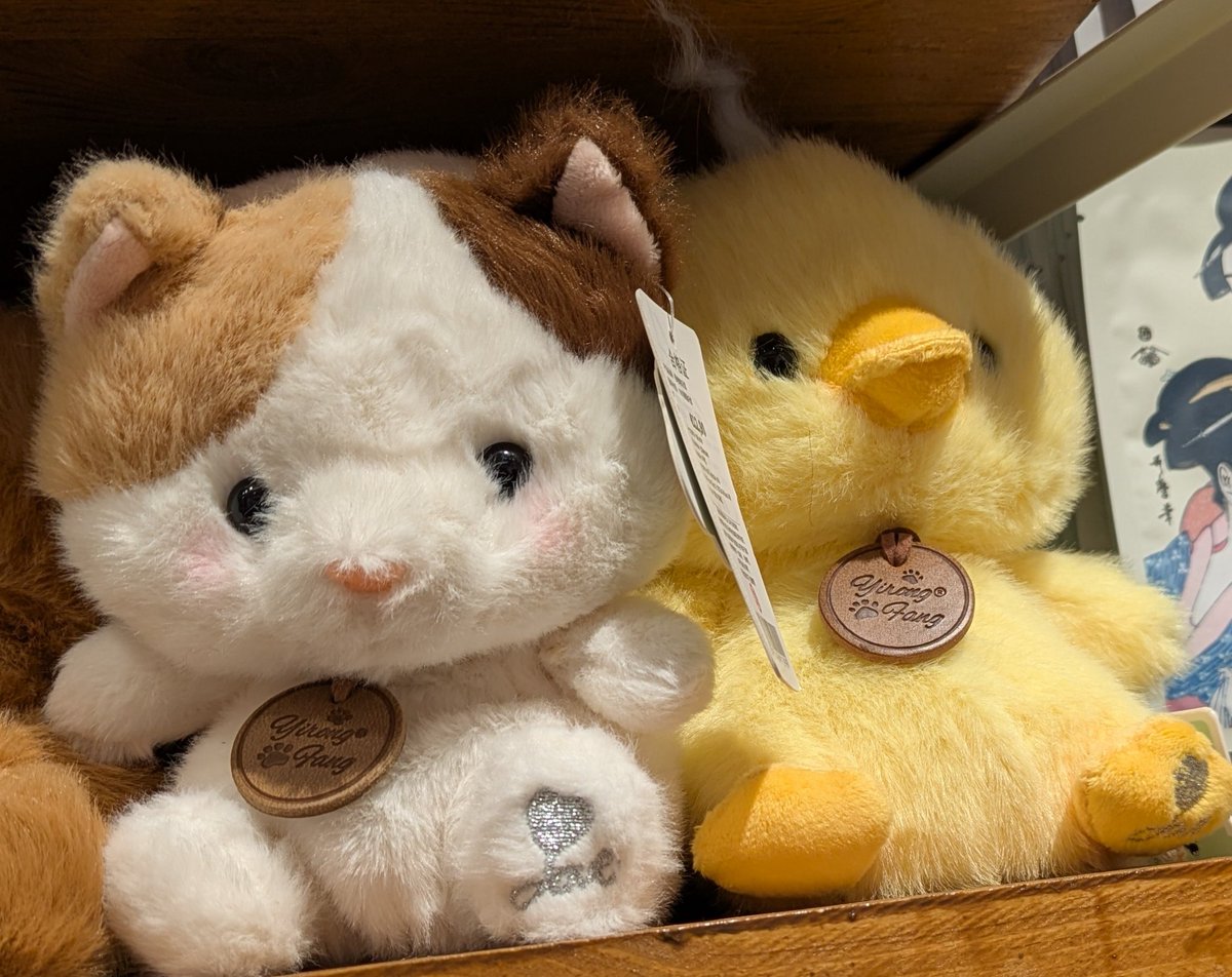 “don’t do that to my taerae”