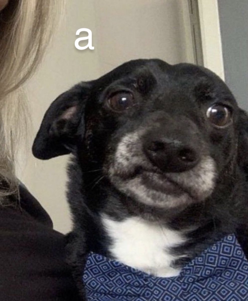 Psicólogo: ¿y cuéntame haz pensado en el suicidio?
yo: si bueno, lo normal
psicólogo: Lo normal es no pensar en eso
yo: