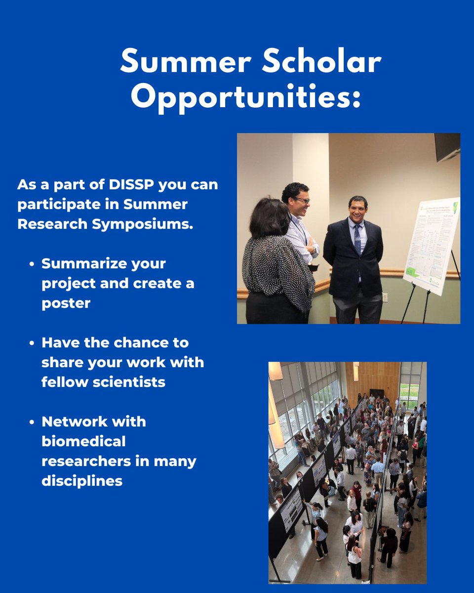 DelawareINBRE's tweet photo. DE-INBRE Summer Scholar applications are now open!  If you are interested in an undergraduate research experience, our program might be for you! Learn more about the program and apply here: https://t.co/zVVK3ev0e7
Have a question about apply, don't hesitate to message us! https://t.co/Ifc2dpYKJy