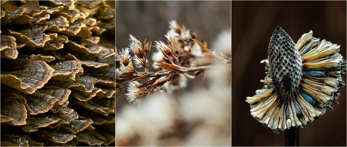 OnePlus_USA's tweet photo. Steps challenge, Lab reviews, and Monthly Moments... πΈ Itβs all wrapped up in the latest community post by @jeffrey_jpeg! #ShootYourPath #ShotonOnePlus
Go check it out:
https://t.co/WmdBej73Yj https://t.co/tthSynWrwn