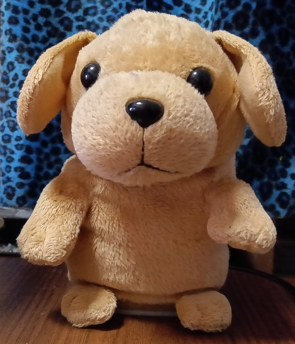 こえマネわんちゃん購入しました。 かわいいです。 ＃バナナサンド