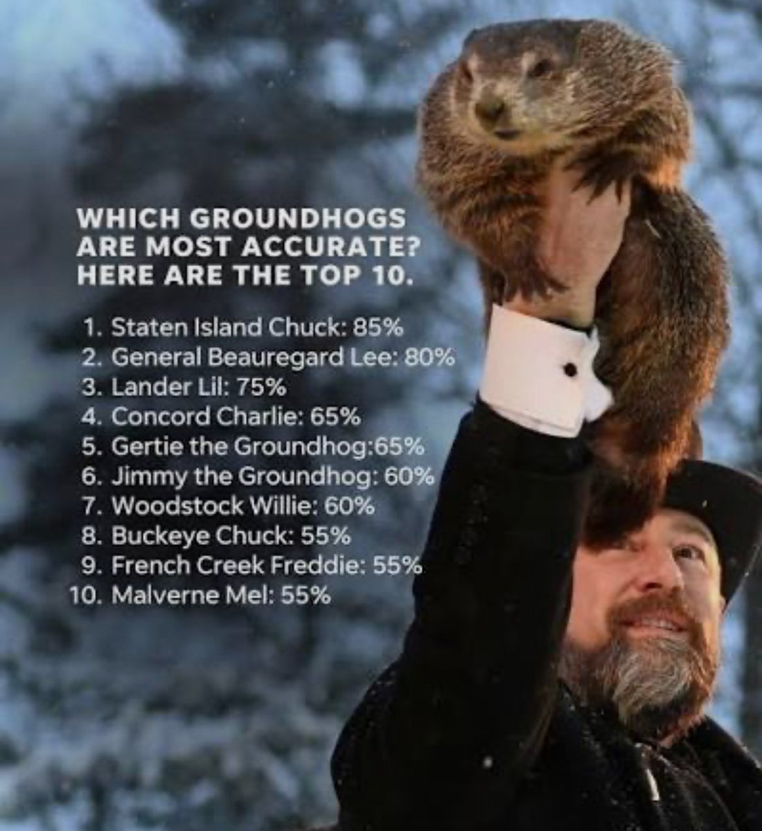 John “Jotip” Tipper tweet media