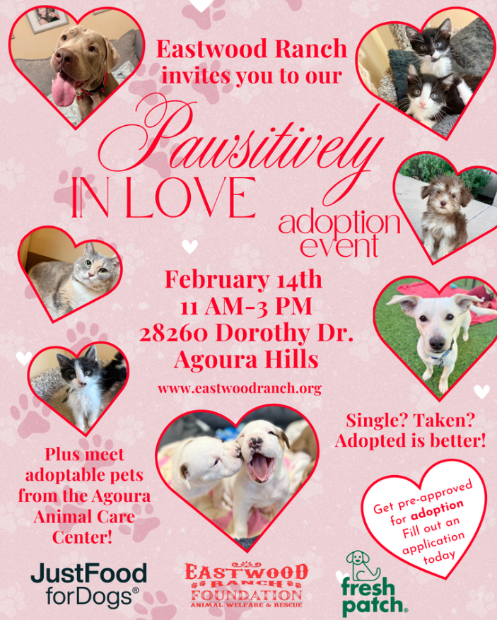 Save the Date | February 14, 2026
Eastwood Ranch Rescue &amp; Adoption Center in Agoura Hills from 11:00am–3:00pm for our “Pawsitively in Love” Adoption Event. A day filled with wagging tails, purrs, and the chance to meet your perfect match.
eastwoodranch.org/pawsitively-in…