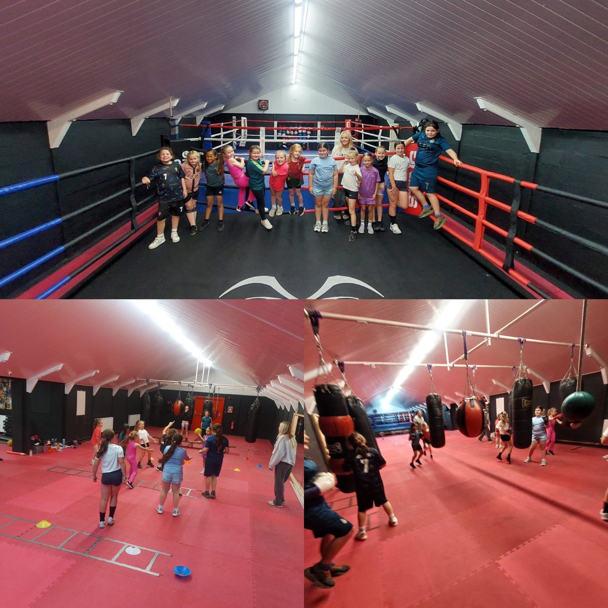 MW Sports C.I.C. tweet media