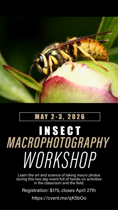 Purdue Entomology tweet media