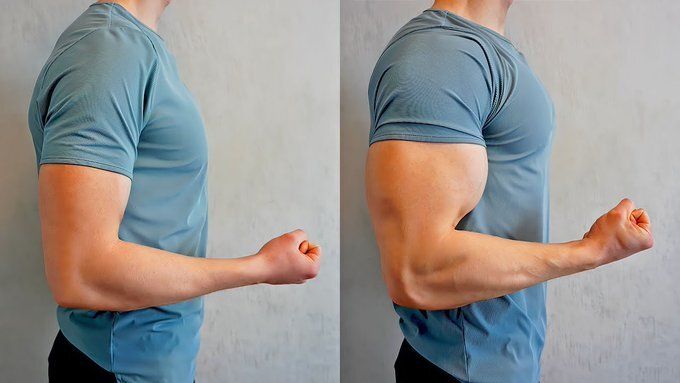CONSIGUE BRAZOS MÁS GRANDES EN 30 DÍAS (ENTRENAMIENTO EN CASA) 

🧵