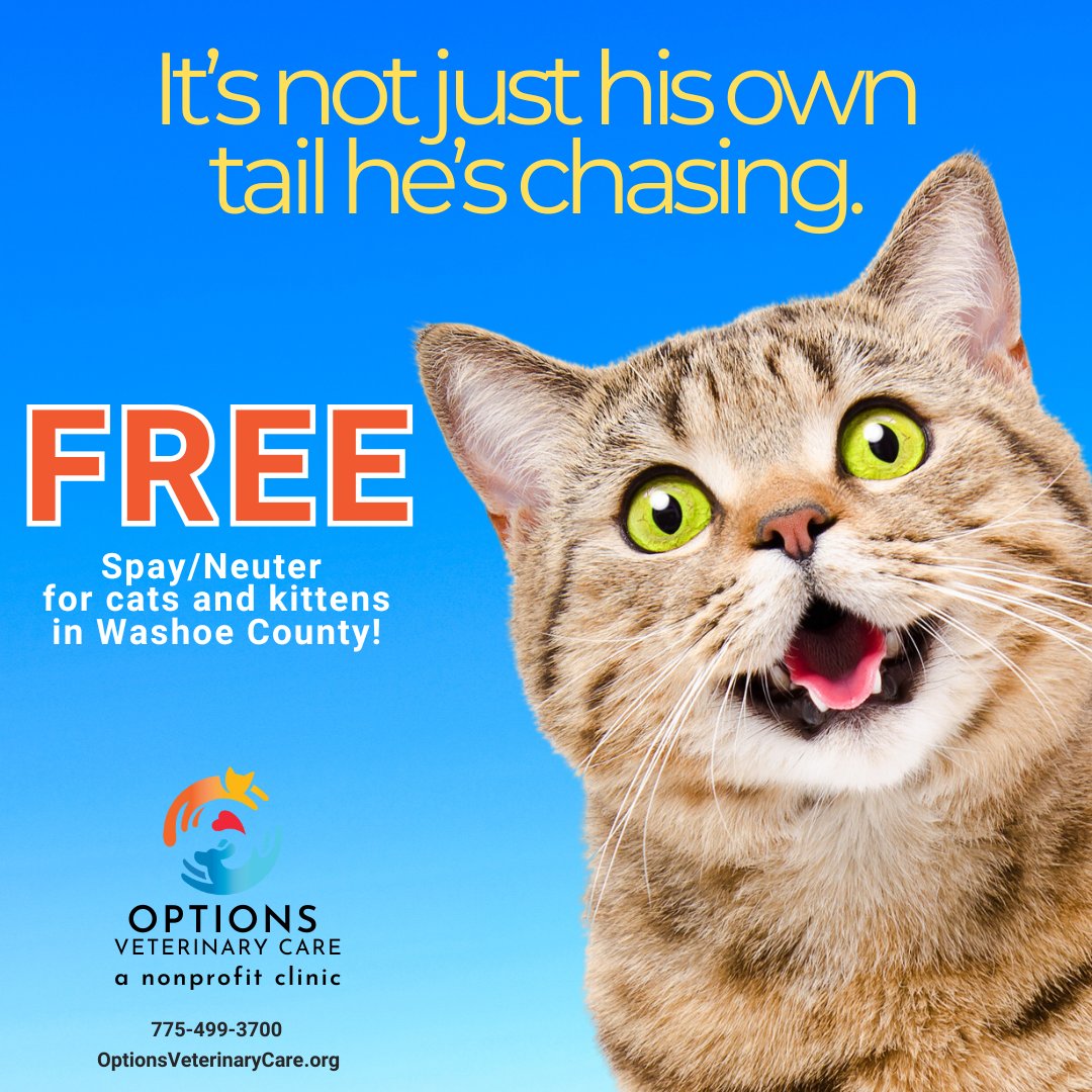 Free Spay/Neuter for Sun Valley Cats &amp; Kittens

svinsider.com/sun-valley-bus…

The free services are available exclusively to Washoe County residents and apply to pet cats, as well as feral or community cats. Financial assistance is also available for surrounding area residents.