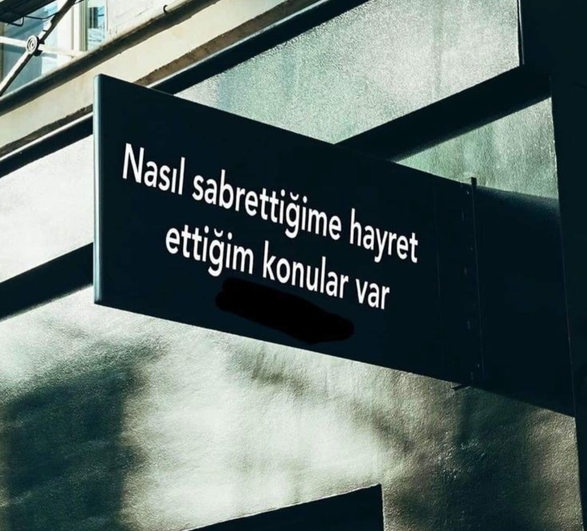 Hayri tweet media