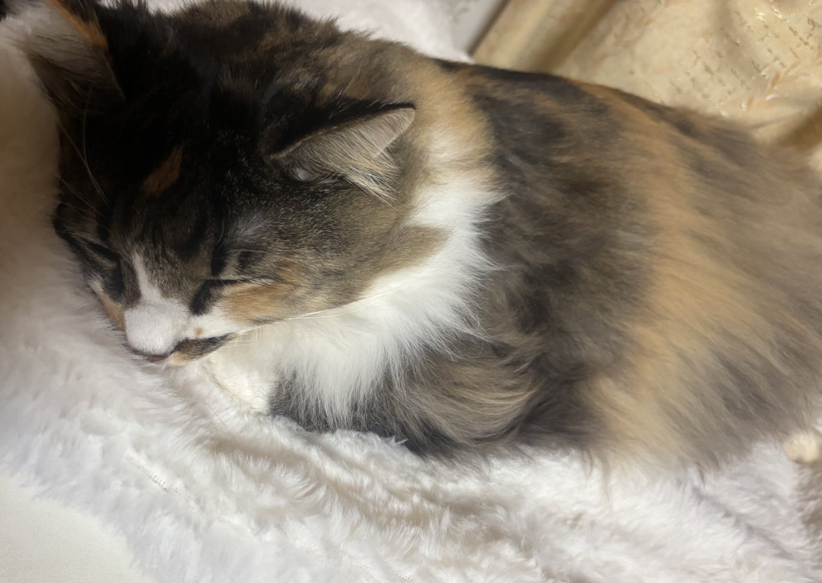 寒いもんねぇ🌀´-