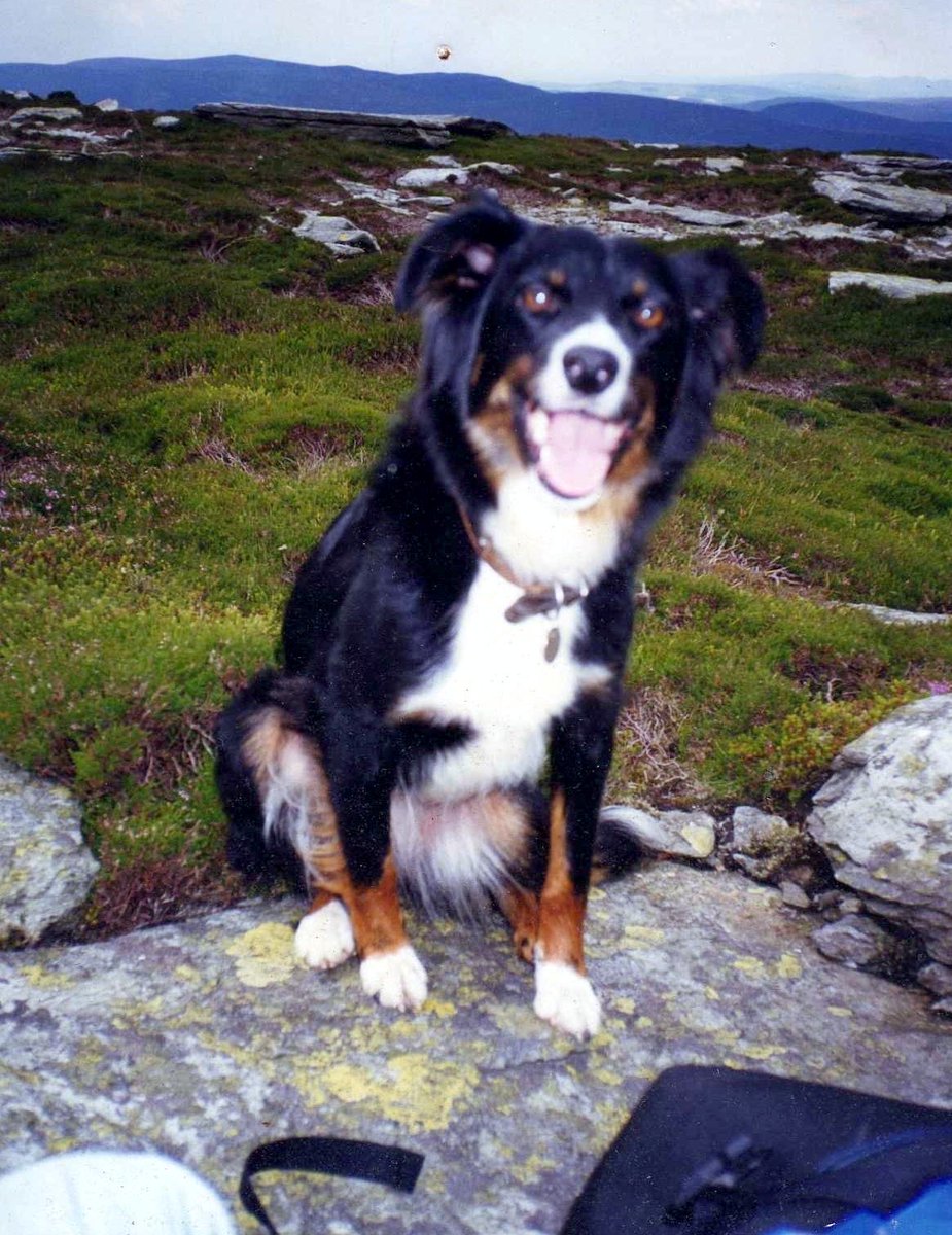 Puppy Bess and Auntie Kes tweet media