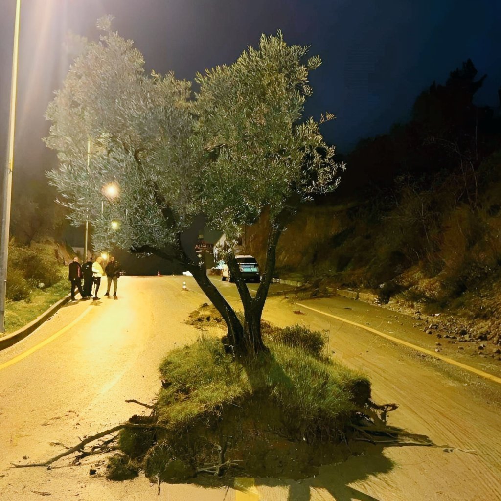 Aydında bir zeytin ağacı yol kesti...
Protesto nedeni malum ;)
Zeytin'in yola inmesine sel yardımcı oldu.
Zeytin ağacı daha önce kesilen zeytin ağaçlarının bulunduğu alanı kullanarak aşağı indi.  Ağaç olmadığı için kayan toprak zemini kullandı....
<a href="/aydinbsb/">Aydin Buyuksehir Bel</a> <a href="/sokebelediyesi/">Söke Belediyesi</a>