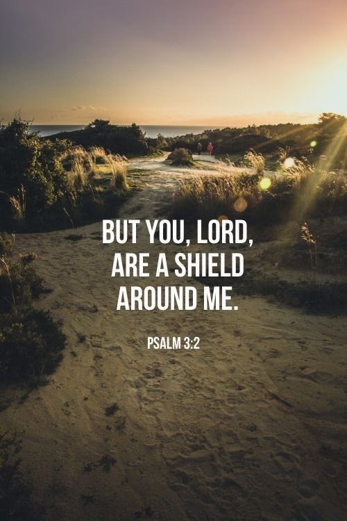 But you, Lord are a shield around me.