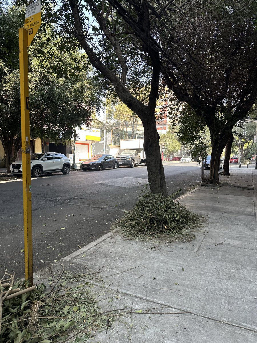 Abigail1508's tweet photo. @BJAlcaldia @LuisMendozaBJ podaron los árboles sobre Patricio Sanz y sobre Xola en Col. Del Valle Norte, pero dejaron los montones de ramas sin recoger, los van a comenzar a llenar de basura. Favor de mandar un camión recolector. https://t.co/nZb0lASbdP