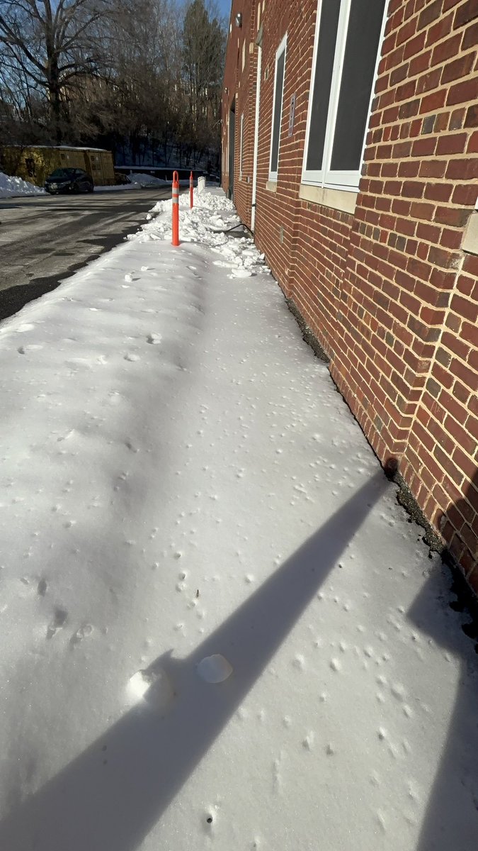 sunflower_hazel's tweet photo. @MayorBowser Thanks for NOT paving the pedestrian walkway at Phelps ! https://t.co/AD9VuzduSa