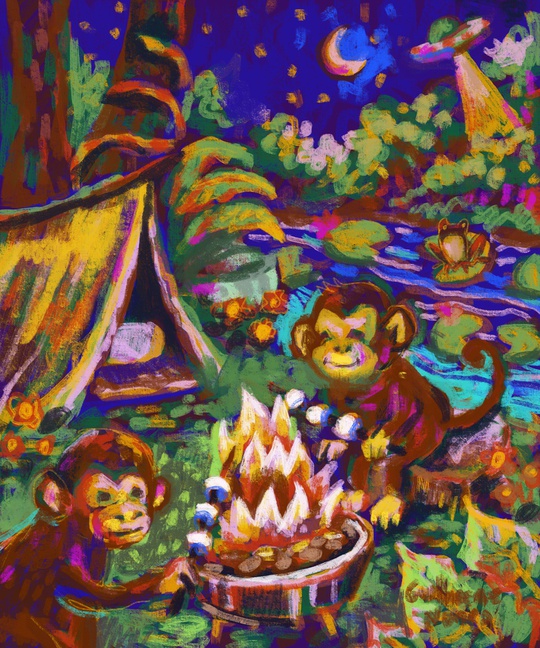 monkeys camping