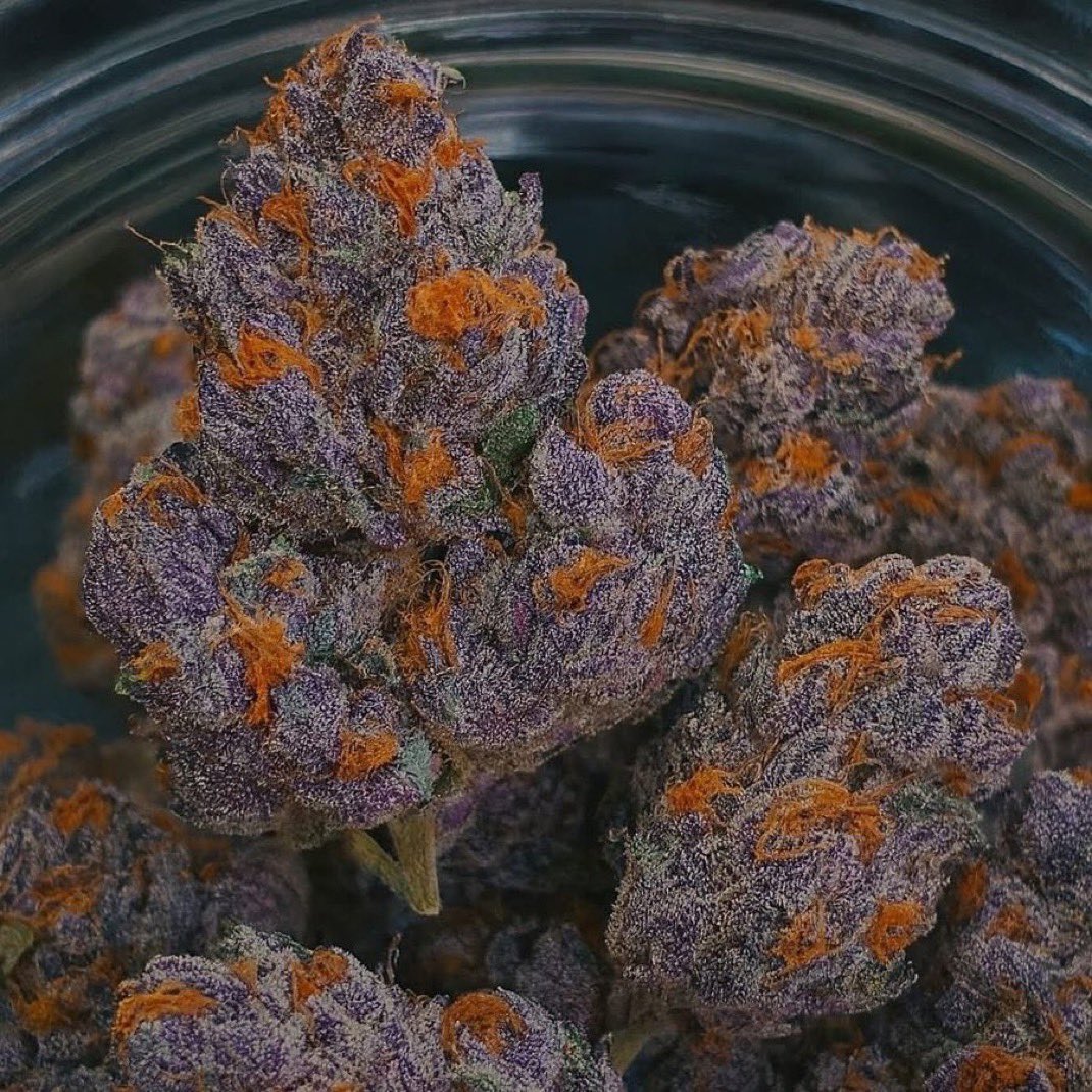 Stoner Barbie tweet media