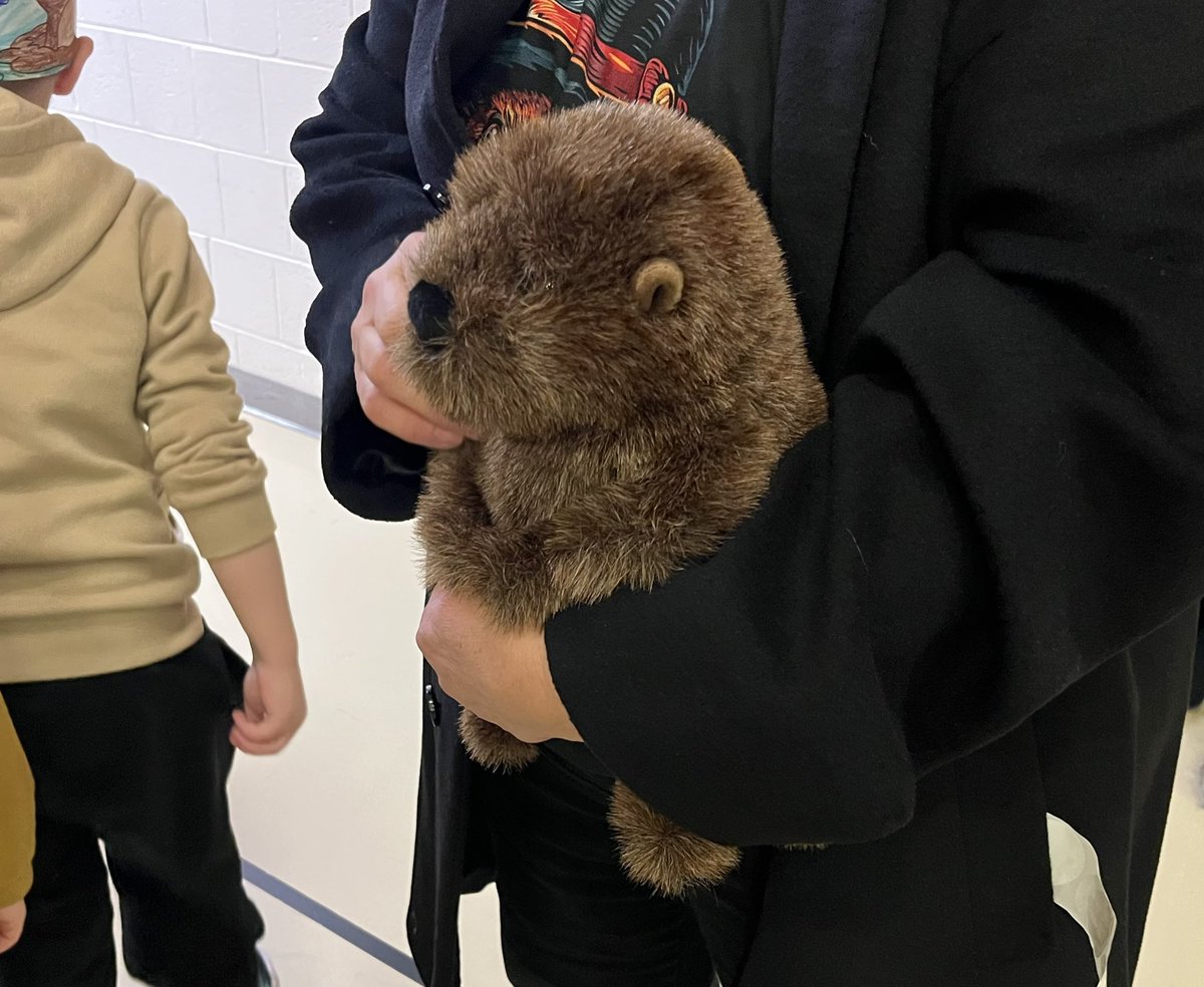 RyanScheidt13's tweet photo. The Groundhog Day assembly at L.B. Morris Elementary School in Jim Thorpe. Their groundhog Morris has also predicted 6 more weeks of winter. @BRCNews13 @JTOlympians #BRCNews13 #JimThorpe #GroundhogDay https://t.co/jOYikZsxpB