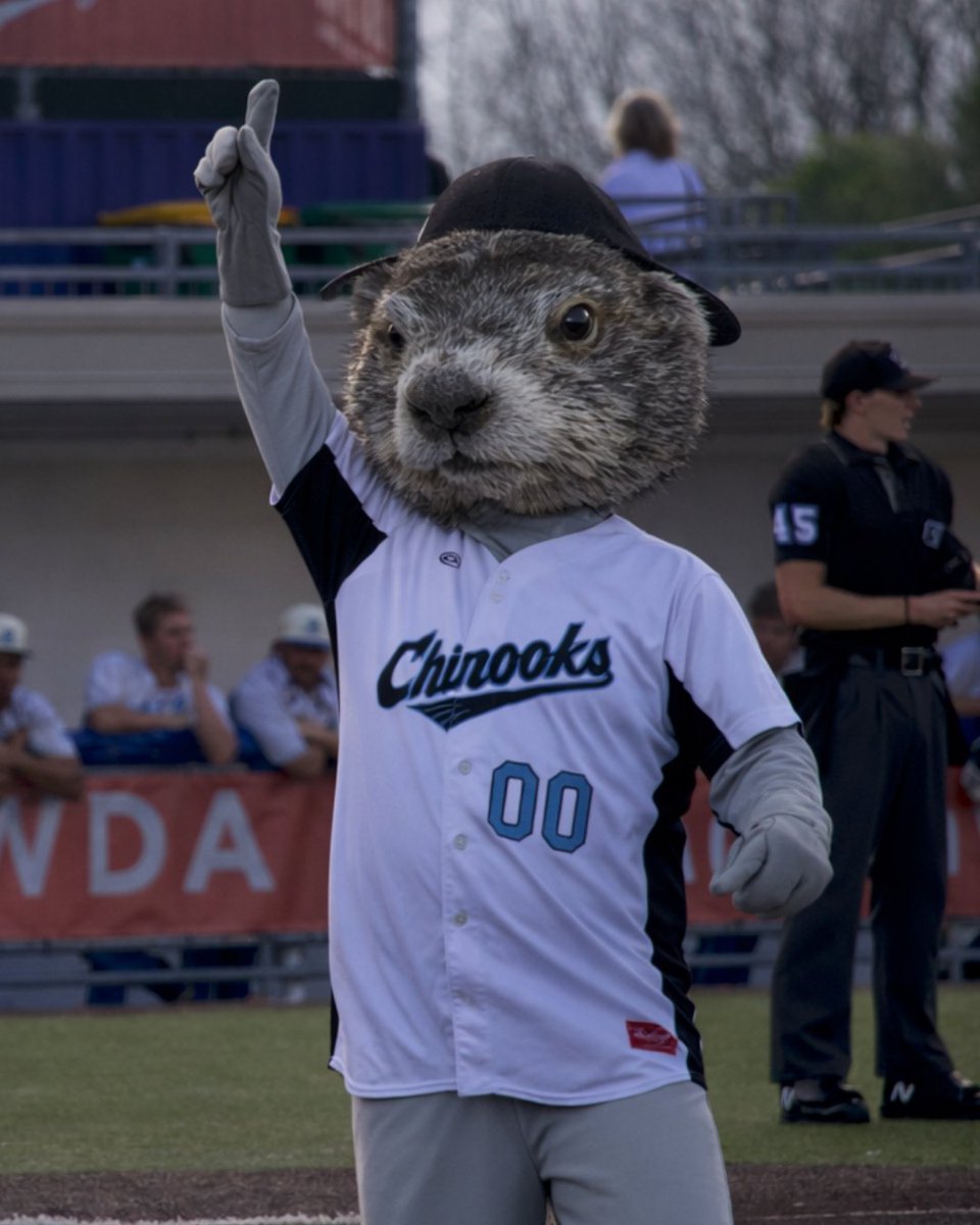 Lakeshore Chinooks tweet media