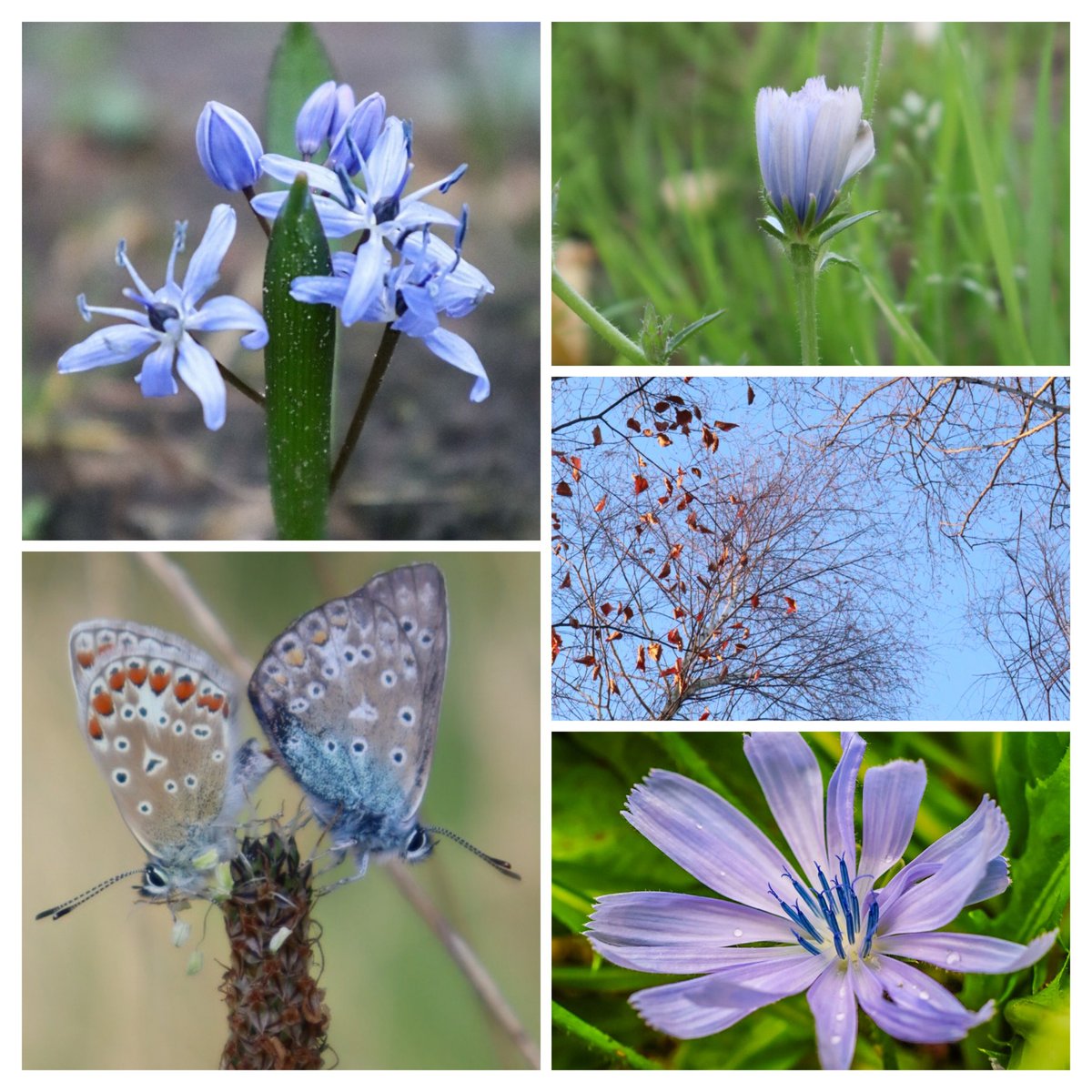 Nelle Bloem (@NelleBloem) / Posts / X