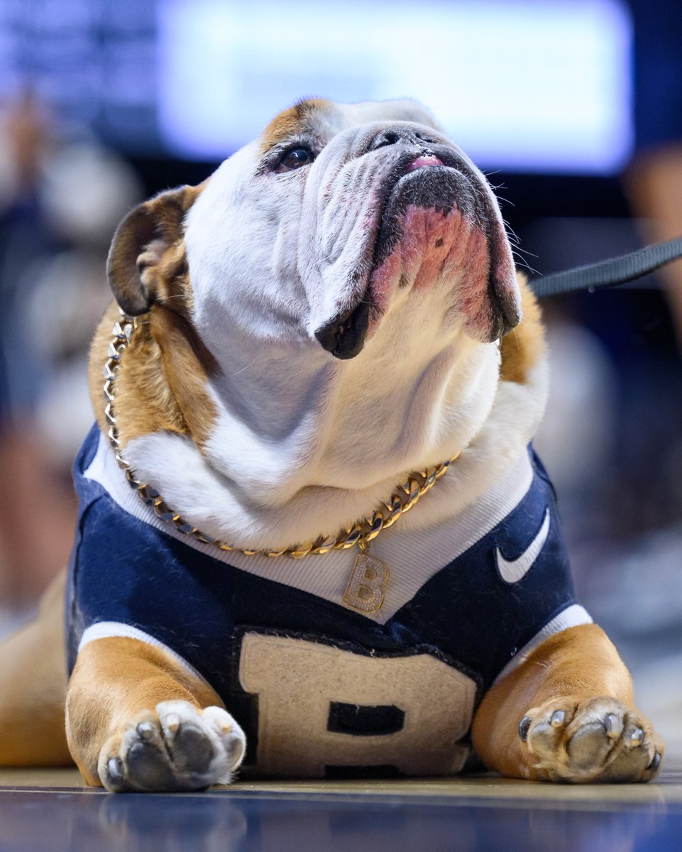 Butler Blue IV tweet media