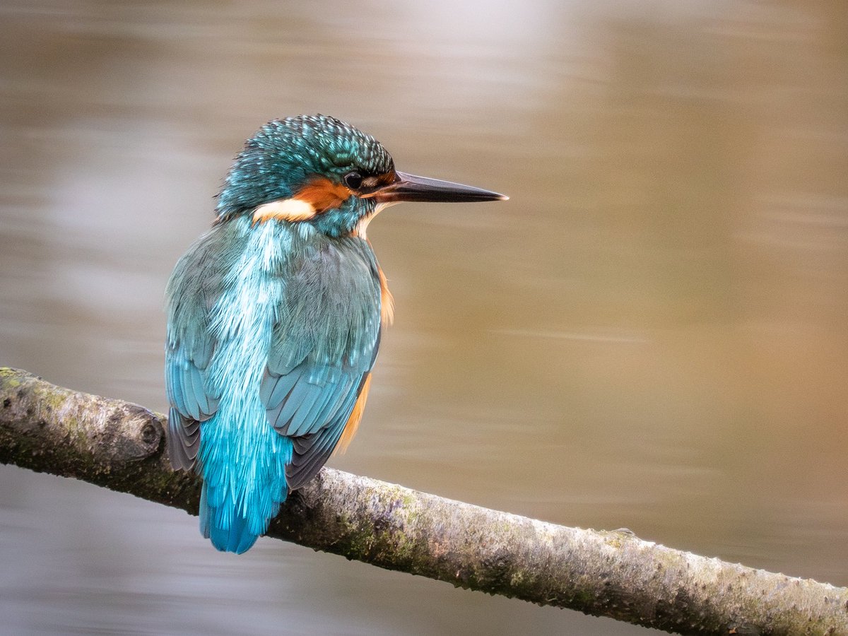 Joanna 📷 tweet media