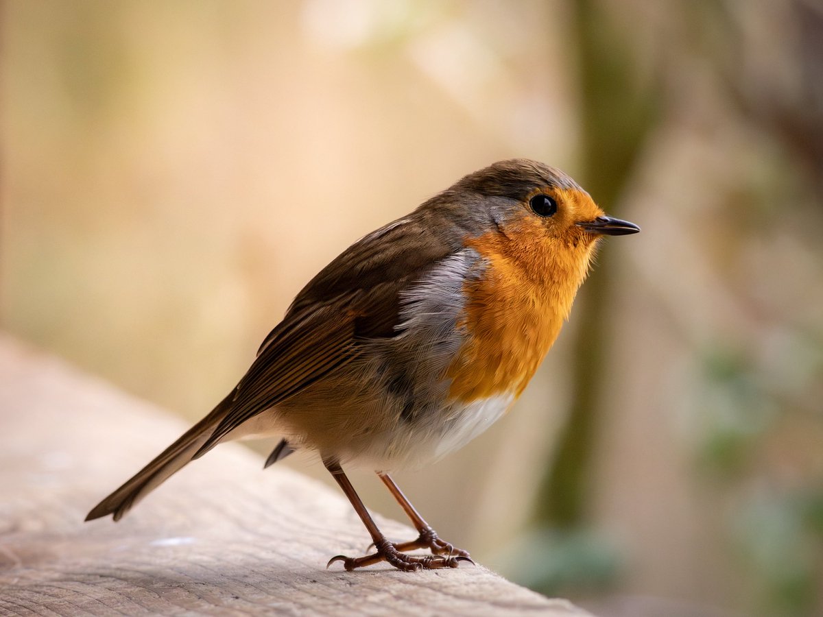 Joanna 📷 tweet media