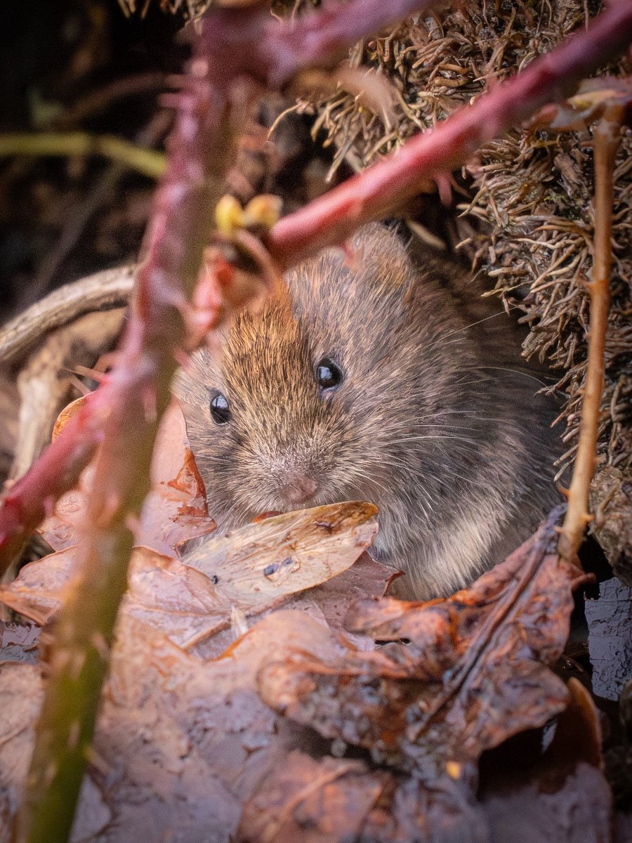 Joanna 📷 tweet media