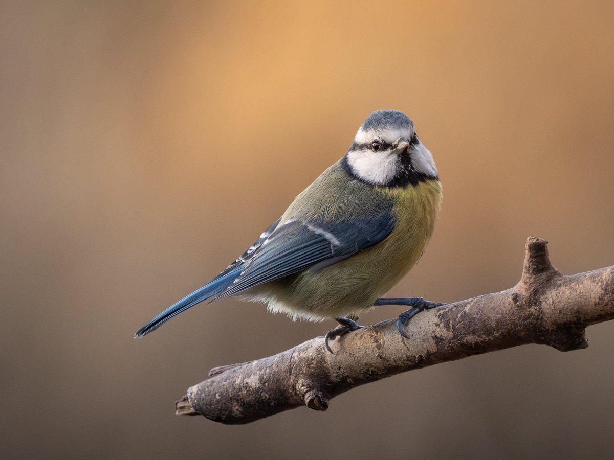 Joanna 📷 tweet media