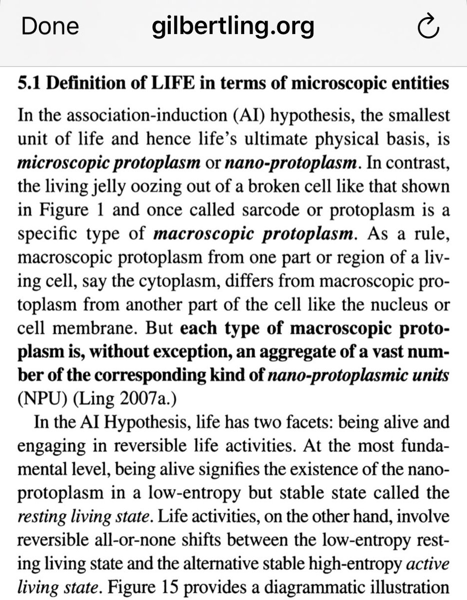 A whole new relational view of the cell that encodes cellular cooperatively in the model itself.