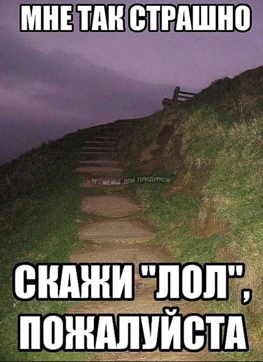 Lem__________'s tweet photo. Ам... Привет? Я живая
Апдейт вот принесла💁‍♀️ https://t.co/ZtwNAEFwlg
