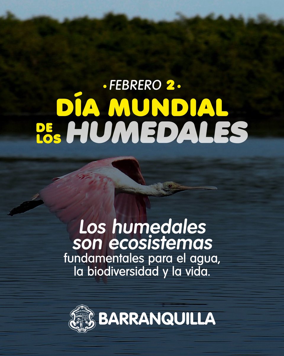 Alcaldía de Barranquilla tweet media