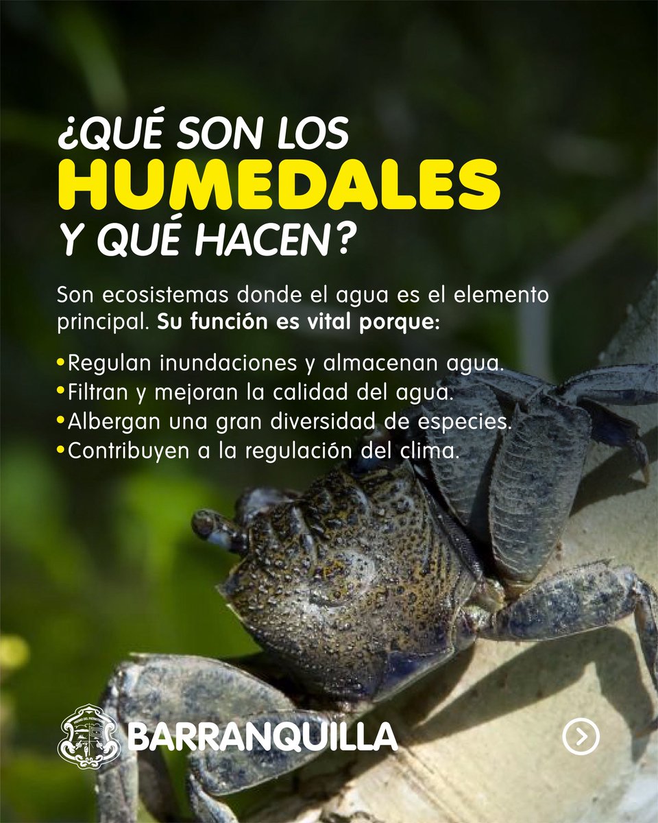 Alcaldía de Barranquilla tweet media