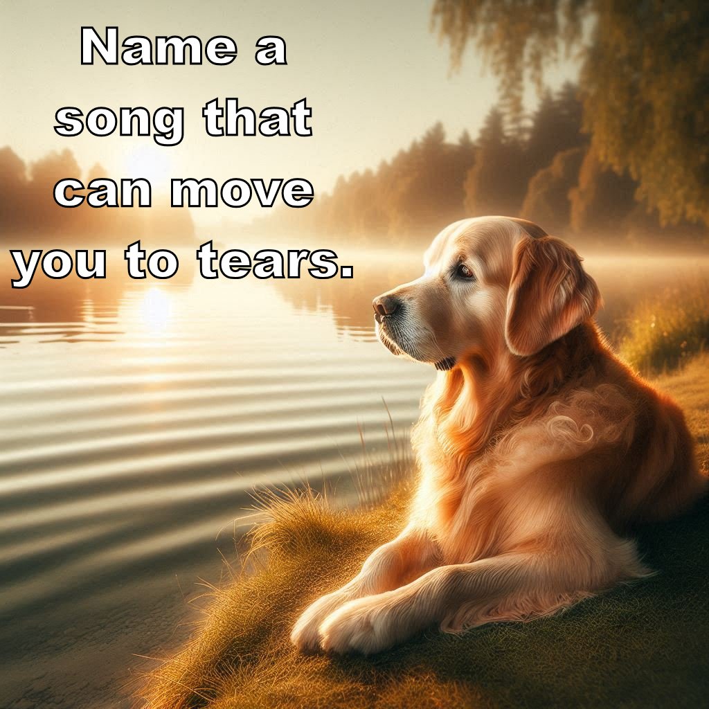 Croxxed Out tweet media