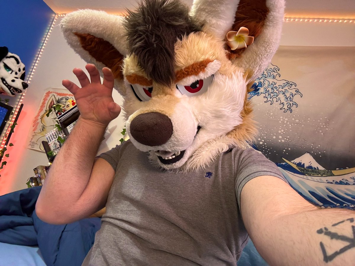 Kai! Woof 🔜 🎾 tweet media