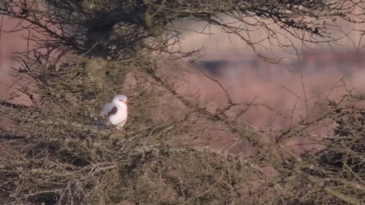 Thomas Porter tweet media