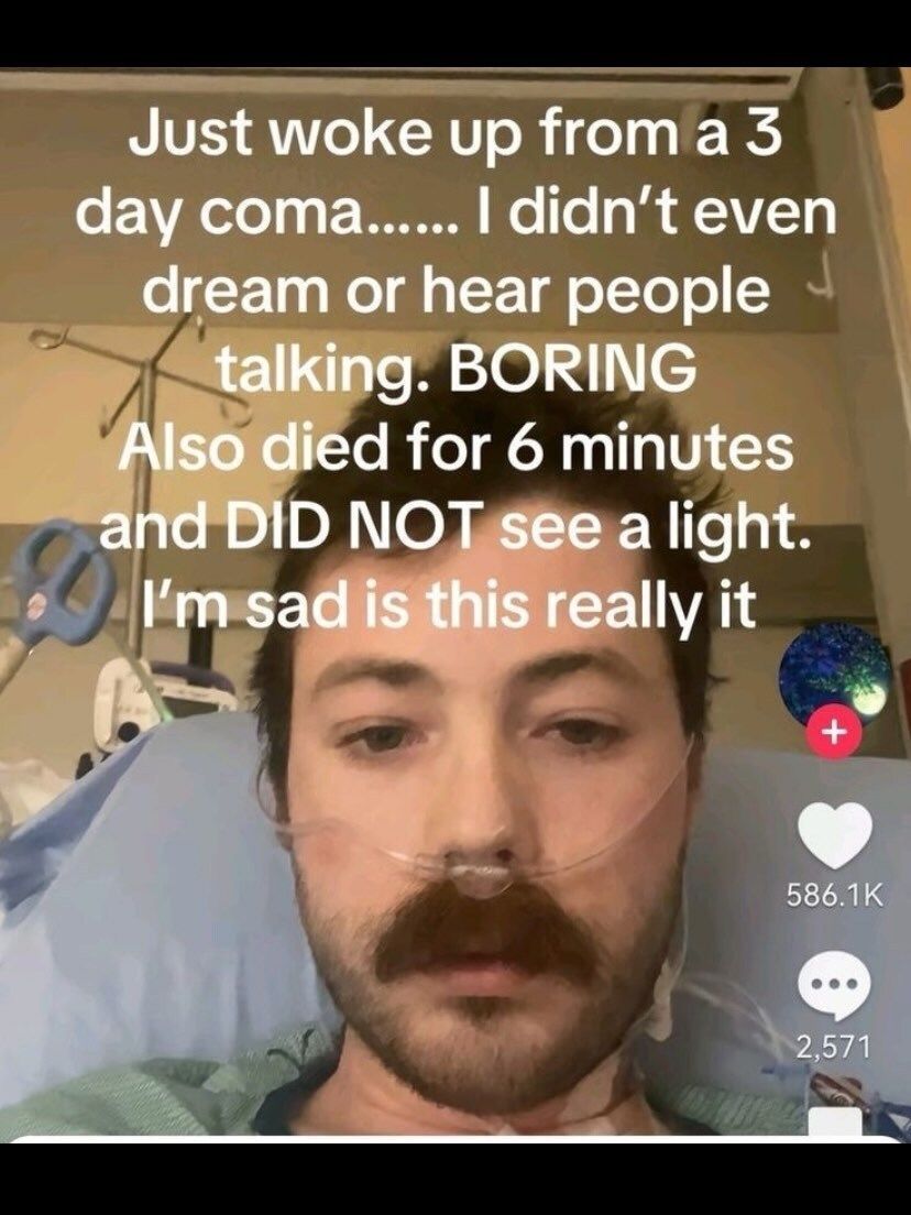 Braindead Bird App tweet media