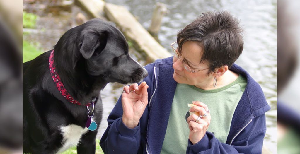Non-profit, launched in January 2026, provides free, short-term foster care for pets of those entering mental health and substance use treatment on Vancouver Island. Learn how it allows owners to focus on their recovery while their pets are cared for. veterinarypracticenews.ca/non-profit-fos…
