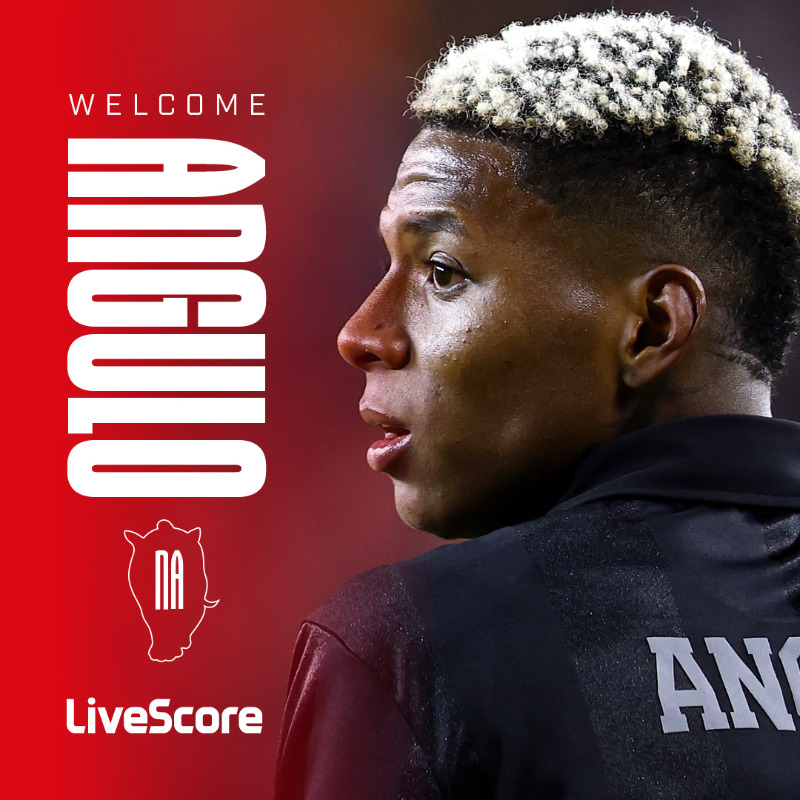 닐손 앙굴로 영입 관련 이미지