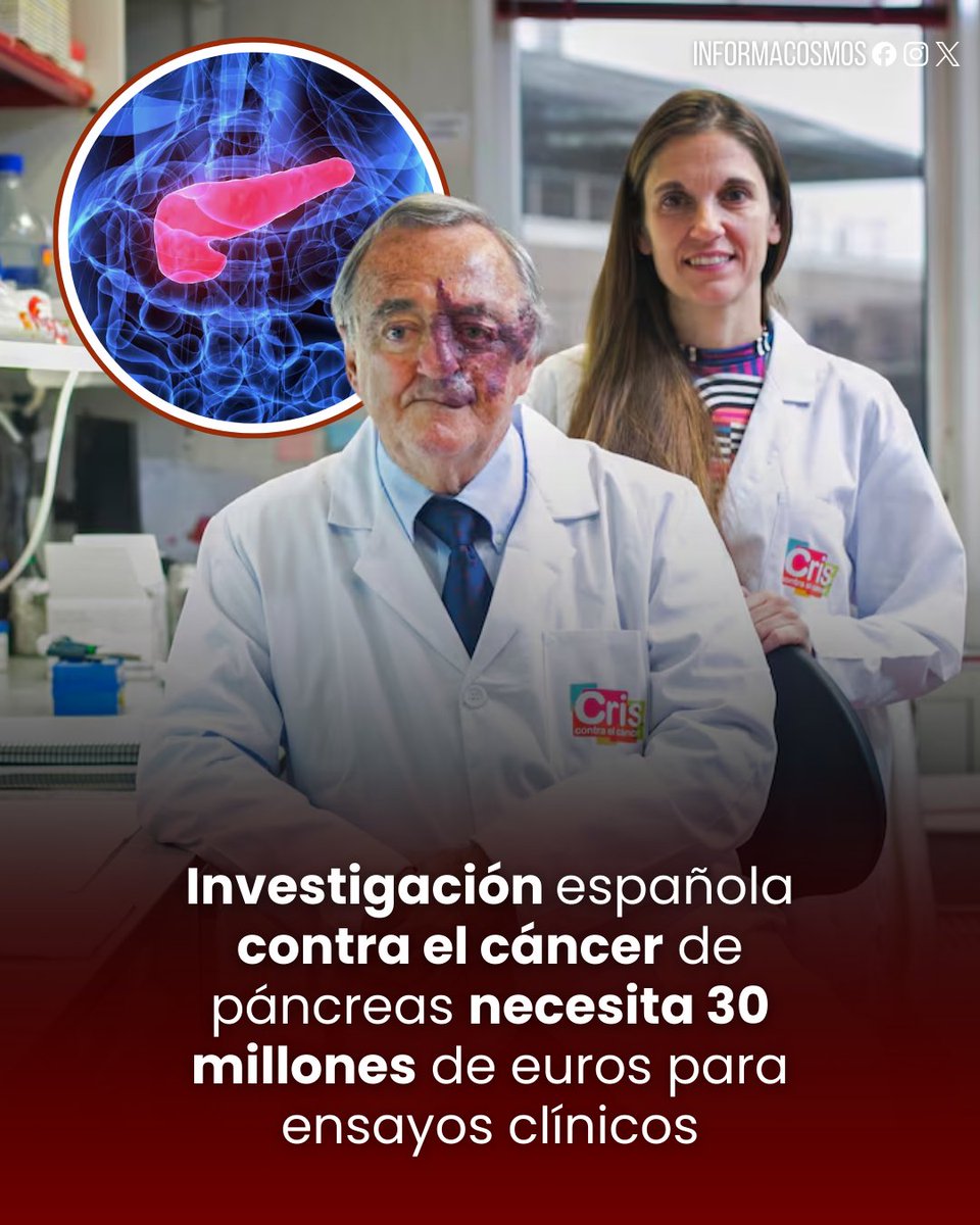 InformaCosmos's tweet photo. 🇪🇸 | El equipo del investigador español Mariano Barbacid requiere una inversión de 30 millones de euros para iniciar los ensayos clínicos en humanos de una prometedora terapia contra el cáncer de páncreas.

Tras lograr la eliminación completa de tumores en ratones, el científico estima que las pruebas con pacientes podrían comenzar en un plazo de tres años, siempre que se consiga la financiación necesaria para validar este avance histórico.