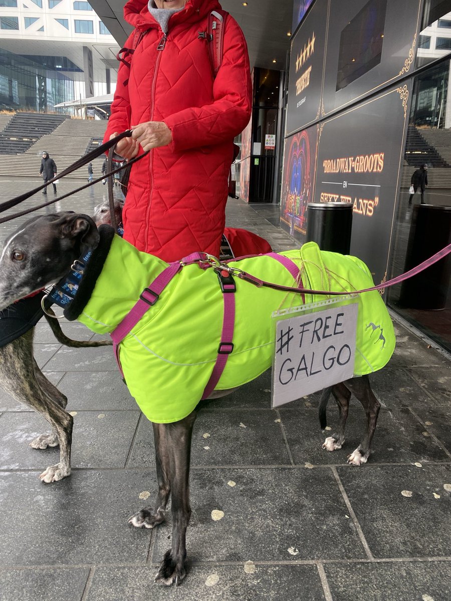 Vrede voor Dieren tweet media