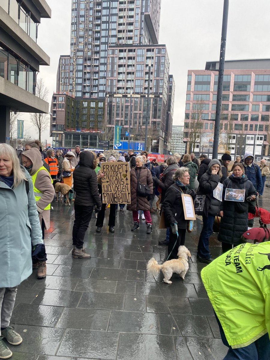 Vrede voor Dieren tweet media