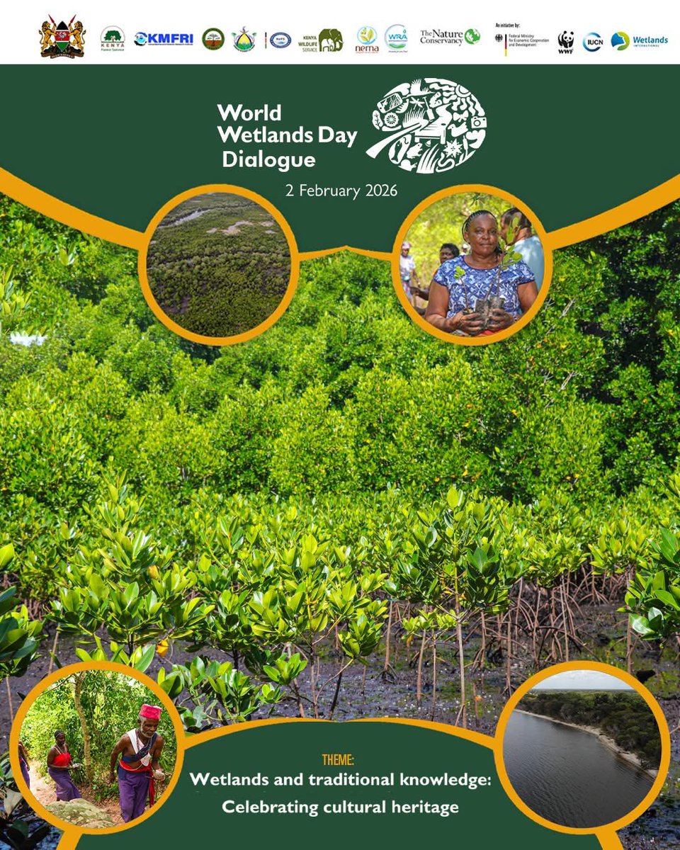 KellyRoberts Banda LLB tweet media