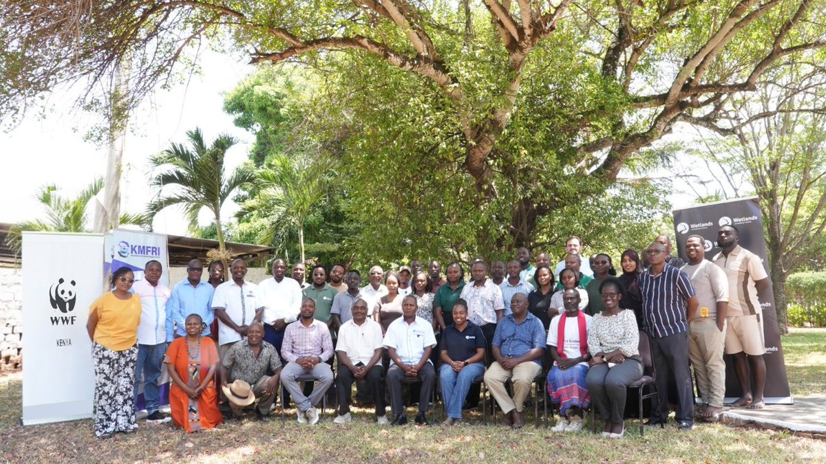 KellyRoberts Banda LLB tweet media