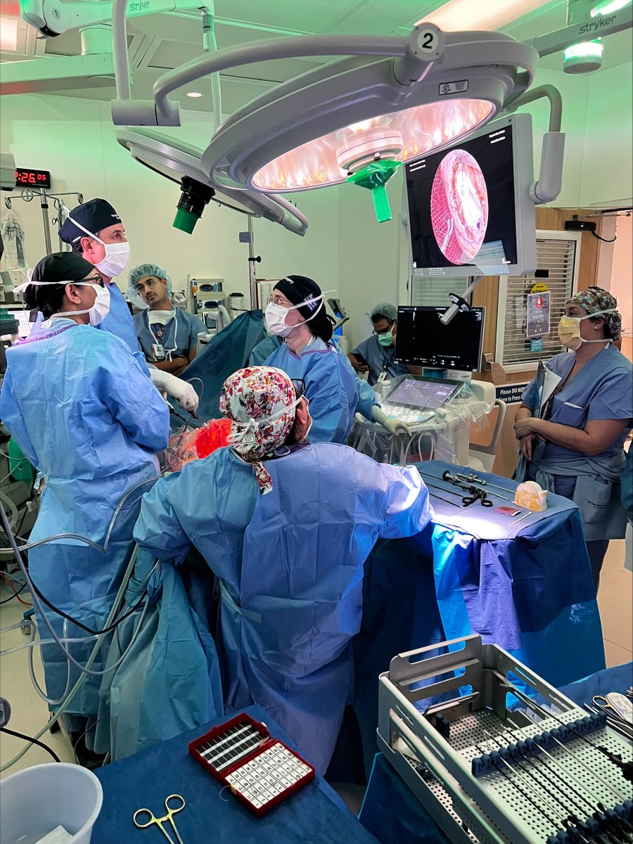 Texas Children's Quality Education and Simulation tweet media