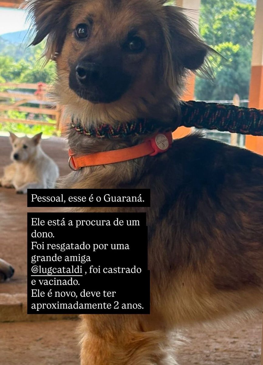 luciana g cataldi tweet media