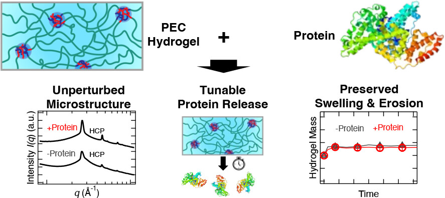 BioPACIFIC MIP tweet media