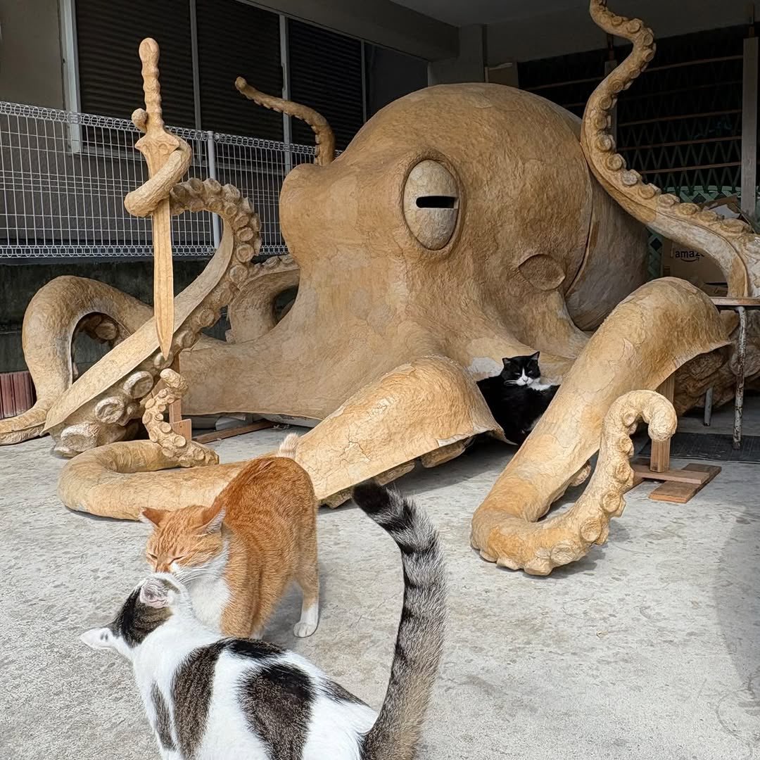 Spoon & Tamago tweet media