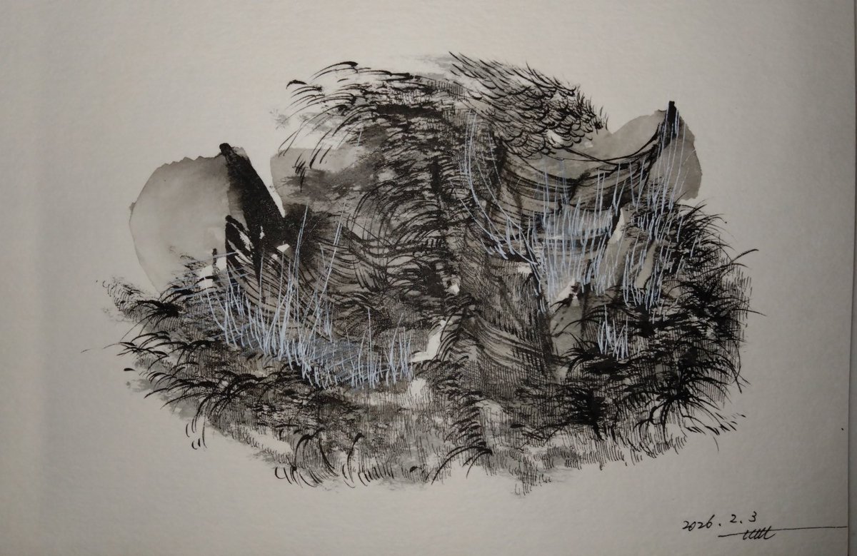 202602030532 B6 albireo morning drawing time #duringdrawing