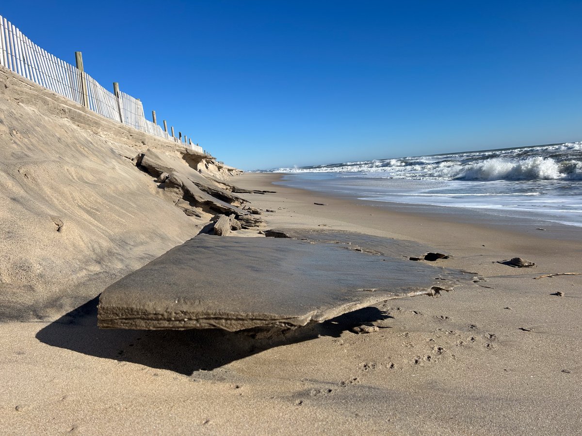 Maryland DNR tweet media